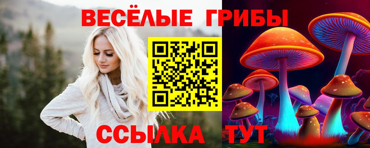 Дербент  где купить наркоту  Вход с VPN  Псилоцибиновые грибы Magic Shrooms 