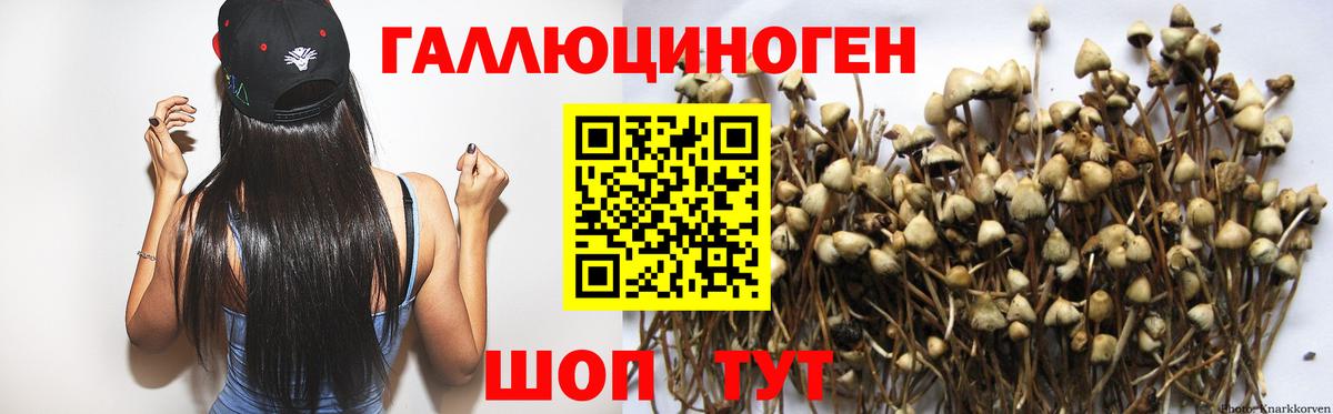 Меф кристаллы  ТГК  МДМА  Дербент  Меф  ГАШИШ  НБОМе  Кокаин  Вход с VPN 